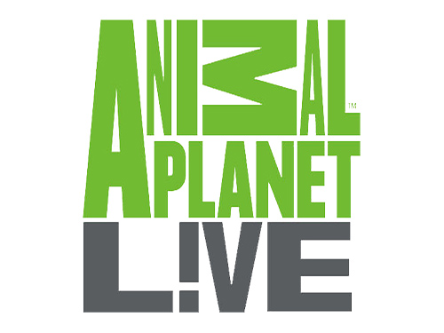 Animal Planet Live: Signage content Animal Planet Live: Signage content